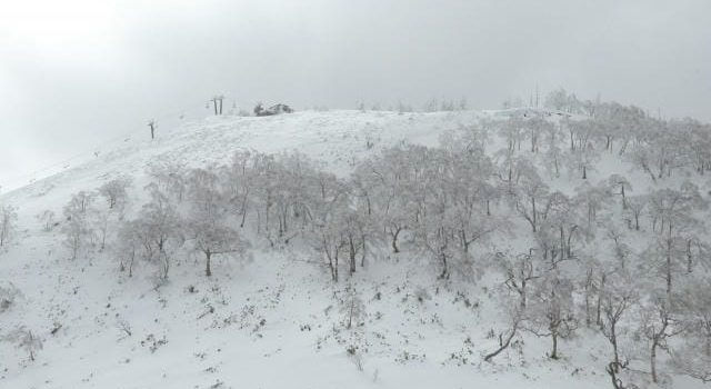 個人で行くよりも楽なスキーツアー 個人で行くよりも楽なスキーツアー