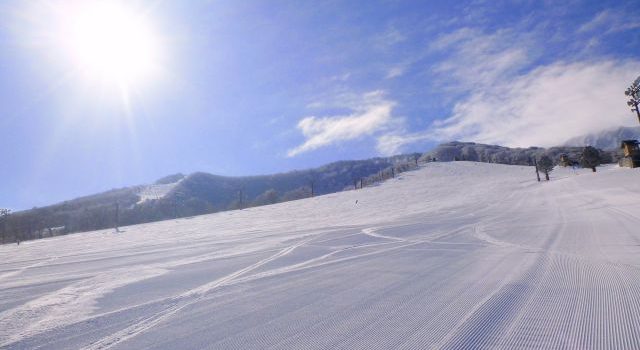 都内の学生向けスキーツアー 都内の学生向けスキーツアー