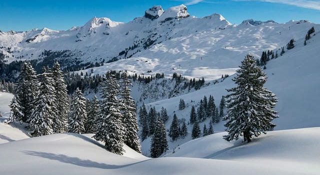 マイカーが利用できるスキーツアー マイカーが利用できるスキーツアー