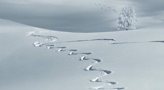 スキーツアーで楽ちんに旅行 スキーツアーで楽ちんに旅行